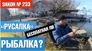 Днестровская "Русалка",  за что платить? / Февральский подлещик.