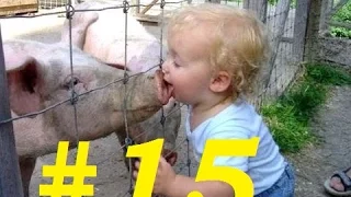 ЛУЧШИЕ ПРИКОЛЫ 2015 / The best jokes 2015 #15