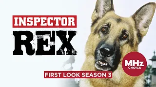 First Look: Inspector Rex (Season 3)