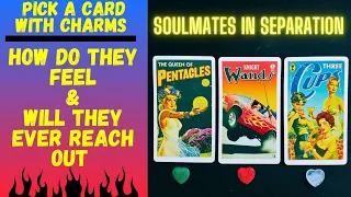 💞SOULMATES IN SEPARATION: HOW DO THEY FEEL & WILL THEY EVER REACH OUT❤️‍🔥|🔮CHARM|TAROT PICK A CARD🔮