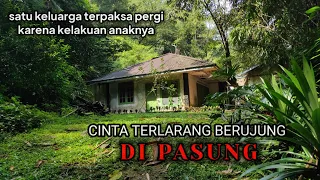 CINTA TERLARANG BERUJUNG DI PASUNG❗KELUARGANYA PUN TERPAKSA PERGI DARI RUMAH