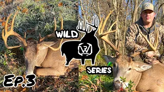 Ohio Bow Hunting 2021 Big Buck Down