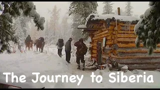 The Journey to Siberia / Bushcraft in Siberia / Wild cedar forests / Bears and Chipmunks