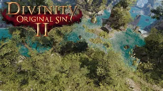 Divinity: Original Sin 2 - The Meadows Ambient Music