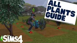 How to Collect All Plants (Sims 4 Collection Guide)