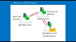 What is an AD DS forest?