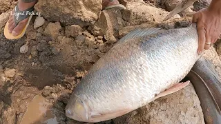Video On Dry Season! Finding Secret Fish In Underground