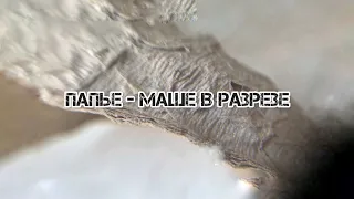 DIY папье   маше в разрезе