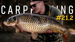 #21/2 OPENING OF THE CARPFISHING SEASON 2024 / PART 2 / CARP FISHING / FISHING ON PLITNITSA LAKE