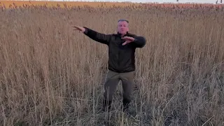 Неожиданно большой кабан на охоте в камышах  Unexpectedly big boar hunting in the reeds  mp4