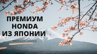 Премиум газонокосилки HONDA из Японии Обзор и сравнение