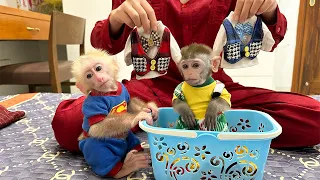 Super cute !!! Monkey Nana happily received the new clothes her mother bought - Family Mo & Na