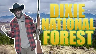 TOM GREEN -  DIXIE NATIONAL FOREST - UTAH - VAN LIFE