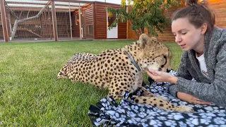 Five minutes of pure tenderness! How Gerda takes care of Masha!