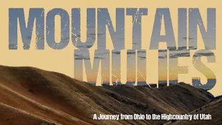 Mountain Mulies | DIY Utah Archery Hunt | SBO FILMS