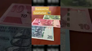 Банкноты Зимбабве 🐘 #worldbanknotestore