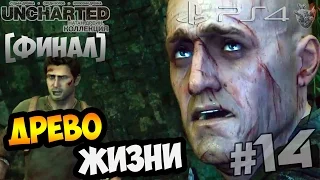 Прохождение Uncharted 2: Among Thieves (Среди воров) ► [ФИНАЛ] Древо жизни | Gameplay PS4