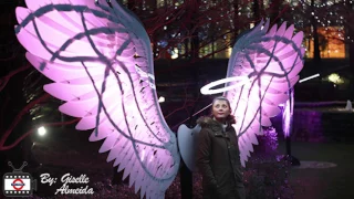 Winter Lights Festival Canary Wharf - London / Festival de Luzes Londres 2017