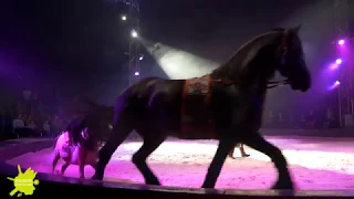 Yakari und Kleiner Donner - die Pferdeshow in Augsburg