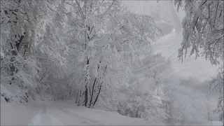 Arvo Pärt : Silentium