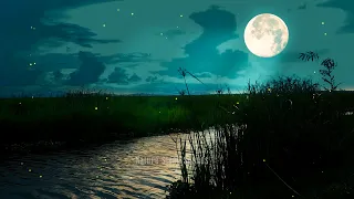 Night Swamp Sounds - Frogs, Crickets, Forest Tropical Nights, Binaural Nighttime Ambience