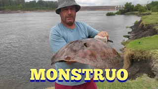 Que pelea dan estos monstruos!!! Pesca en Palmar en Pesca en agua dulce