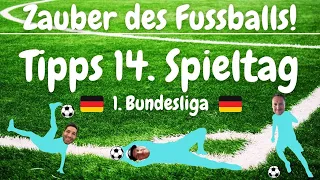 1. Bundesliga 14. Spieltag Tipps Prognosen Infos Analysen (Frankfurt, Bayern, Dortmund, Leipzig etc)