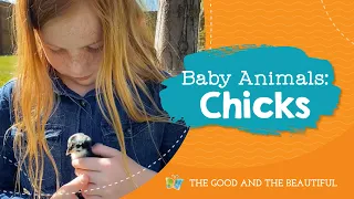 Baby Animals | Chicks | The Good and the Beautiful