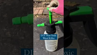 DIY Weed Killer (Non-Toxic and Easy)