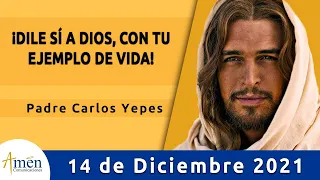 Evangelio De Hoy Martes 14 Diciembre 2021 l Padre Carlos Yepes l Biblia l Mateo 21,28-32