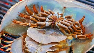 Thailand Street Food - HORSESHOE CRAB EGGS