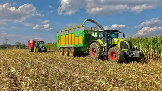 Corn Silage 2022 🌽 Claas/ John deere/ New holland/ ZD Výčapy