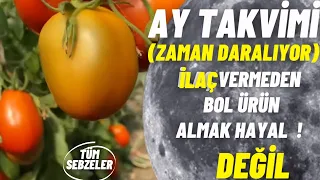 YİTİK HAZİNE | BUNU İZLEMEDEN SEBZE EKİYİM DEMEYİN | 2022 SEBZE EKİM TARİHLERİ