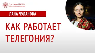 Эффект телегонии | Чистота крови  | Закон Рита | Глазами Души