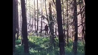 Bigfoot Sighting July 18th 2020 Mt Hood... Bigfoot followed our Horse... Full 2hr Trail Ride Video