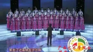 Амурские волны ( The  Amur waves ) - chinese version