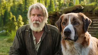 A Dog Leads His Master To A Gold Mine | Movie Recaps