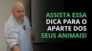 VEJA ESSA GRANDE DICA PARA APARTE DE BOVINOS | PROF. MARCELO COSTA