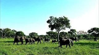 WildEarth - Sunset Safari - January 25, 2020