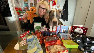 Hudson & Karla Unboxing Christmas Gifts from our Extra Good Channel Supporter Marjolein