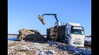 Hilli & Saarinen Oy:n Volvot puunajossa Pohjois-Pohjanmaalla