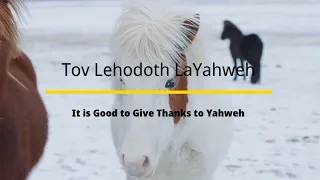 Selah Moment: Tov Lehodoth LaYahweh (It is Good to Give Thanks to Yahweh)