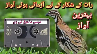 Batair ki awaz raat k shikar k liye//بٹیر کی اواز رات کے شکار کے لیے