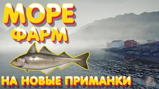 ФАРМ на новые приманки | Пикша + Поллак + Бельдюга + Треска | Норвежское море | Русская Рыбалка 4