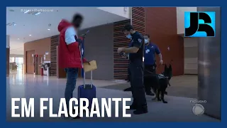 Mulas: reportagem mostra os flagrantes do transporte de drogas nos aeroportos do país