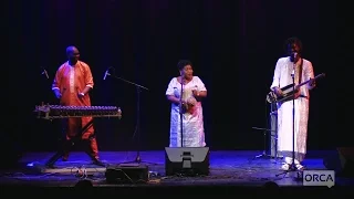 Trio Da Kali Featuring Derek Gripper - November 11, 2016