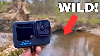 I Tossed My GoPro in a Potomac River Creek And Saw THIS! (ENDLESS FISH)