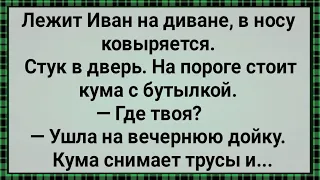 Как Жена На Вечернюю Дойку Ушла! Сборник Веселых Анекдотов! Юмор!