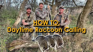 Daytime Raccoon Calling - How To Hunt With An Electronic Caller (Lots of Action!)