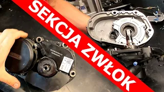 Sekcja zwłok - Bafang